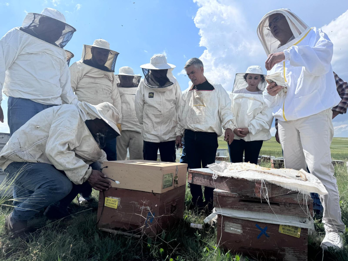 Kars'ta arı yetiştiricilerine eğitim verildi